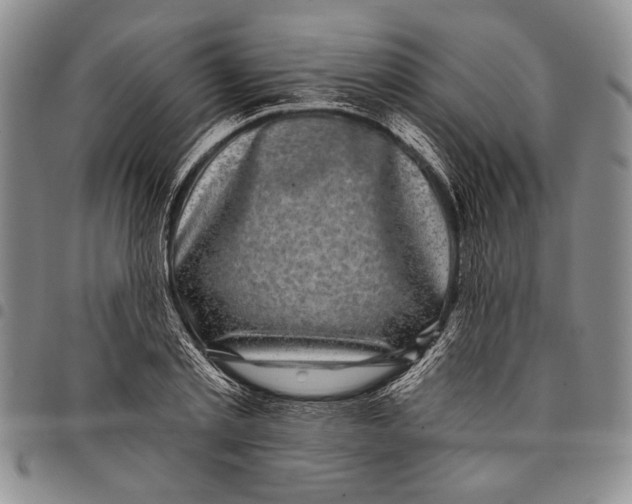 X0000097970789200804141051