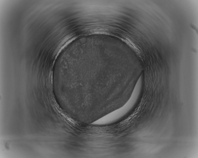 X0000097970790200804141051