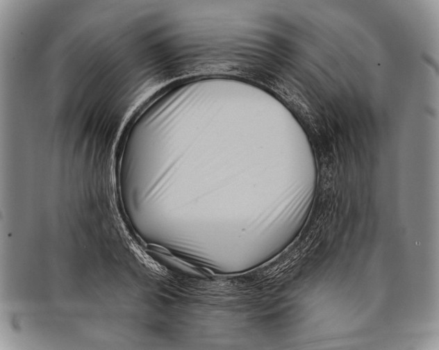 X0000097970792200804141051