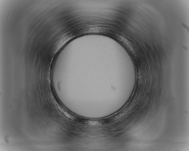 X0000097970794200804141051