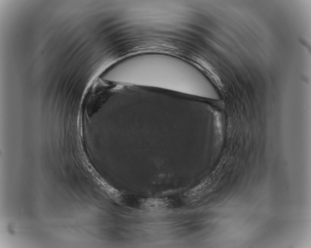 X0000097970796200804141051