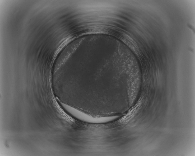 X0000097970797200804141051