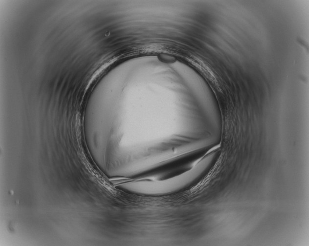 X0000097970798200804141051