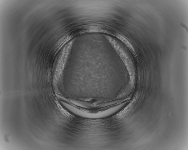 X0000097970801200804141051
