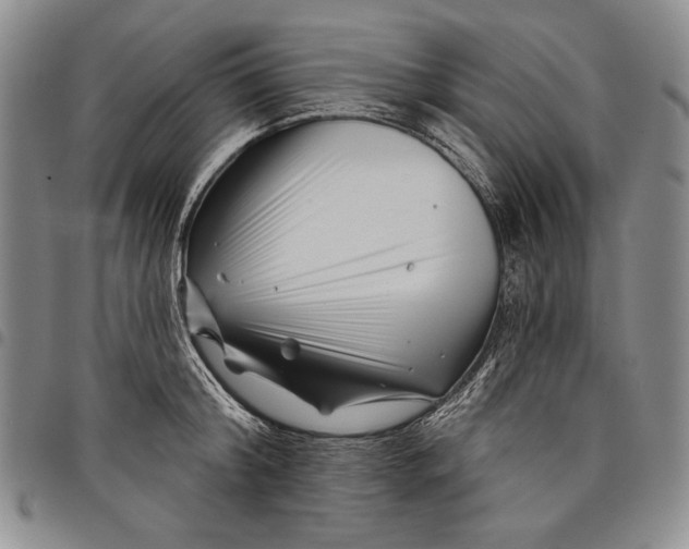 X0000097970804200804141050