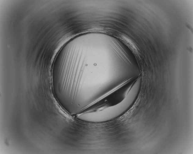 X0000097970808200804141050