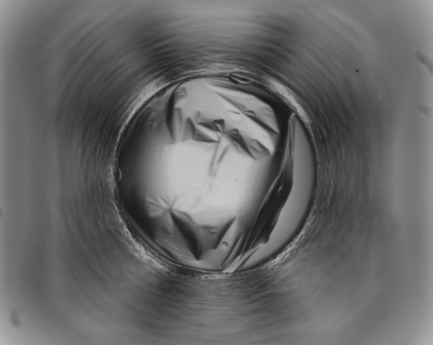 X0000097970810200804141050