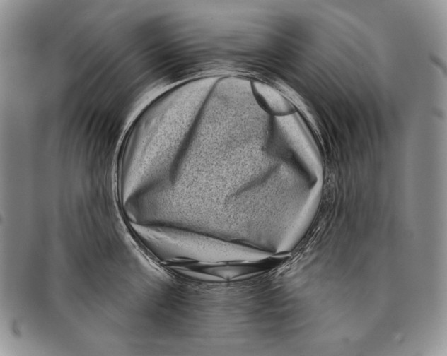 X0000097970811200804141050