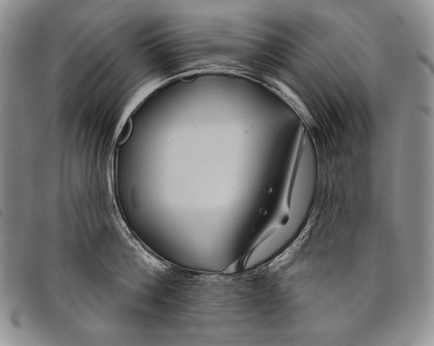 X0000097970812200804141050