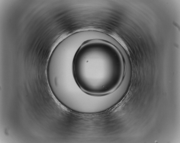 X0000097970813200804141050