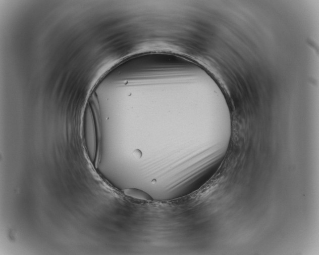 X0000097970815200804141050