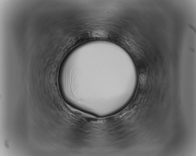 X0000097970817200804141049