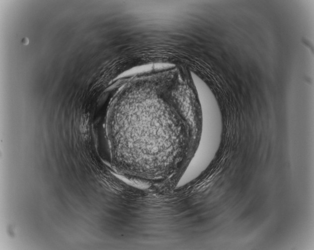 X0000097970818200804141049