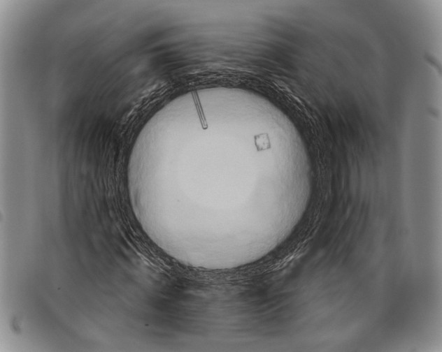 X0000097970820200804141049
