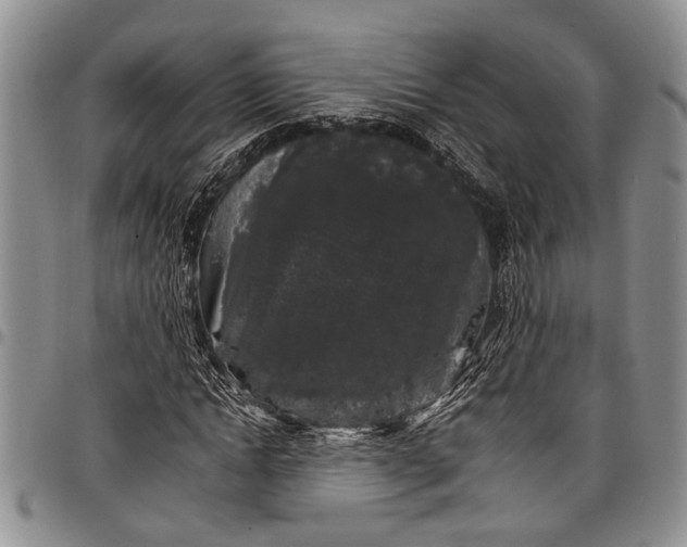 X0000097970822200804141049