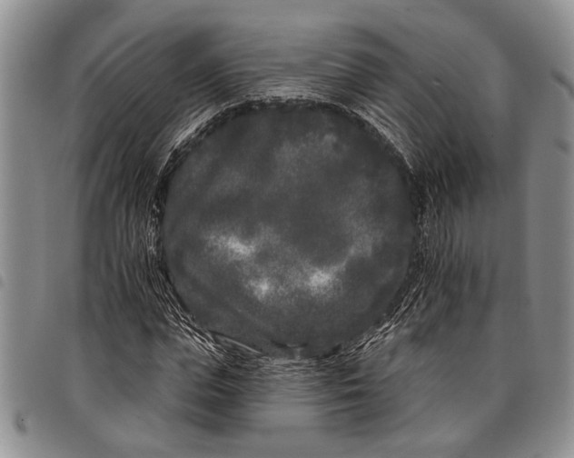 X0000097970823200804141049