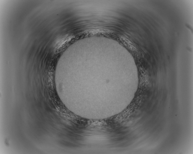 X0000097970824200804141049
