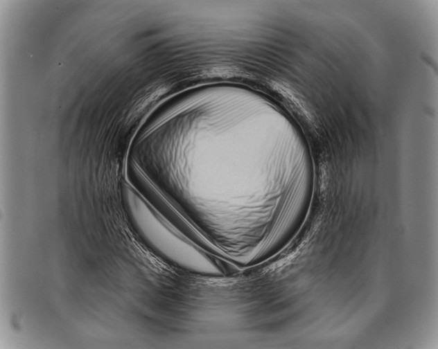 X0000097970825200804141049