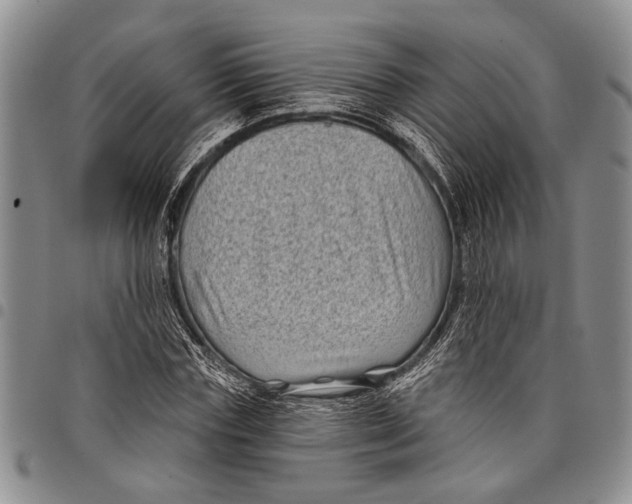 X0000097970827200804141049
