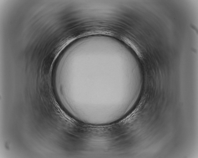 X0000097970828200804141049