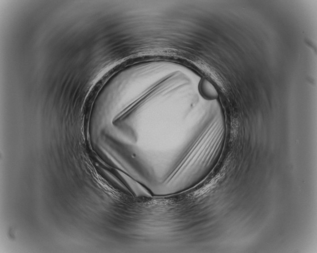 X0000097970830200804141049