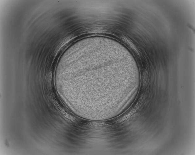 X0000097970831200804141049