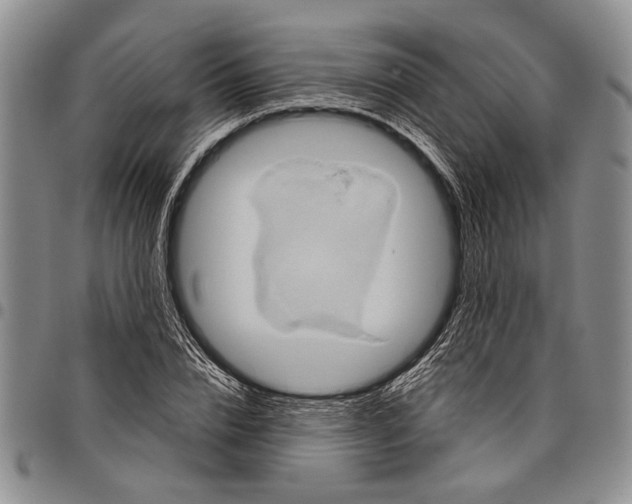 X0000097970832200804141049