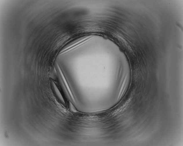 X0000097970833200804141050