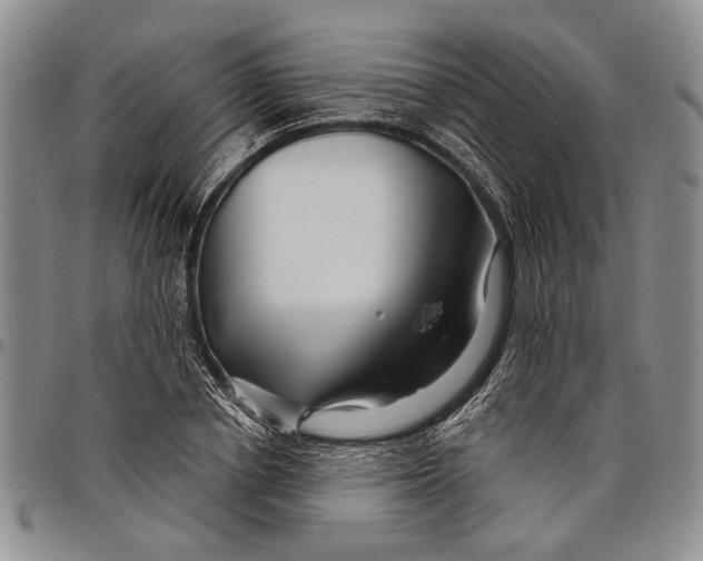 X0000097970834200804141050