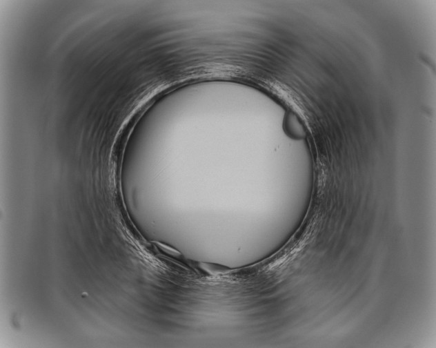 X0000097970835200804141050