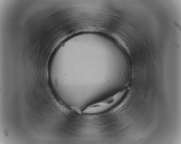 X0000097970837200804141050
