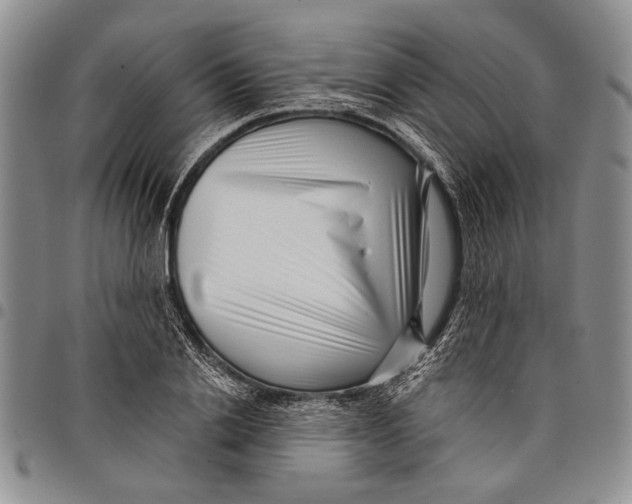 X0000097970838200804141050