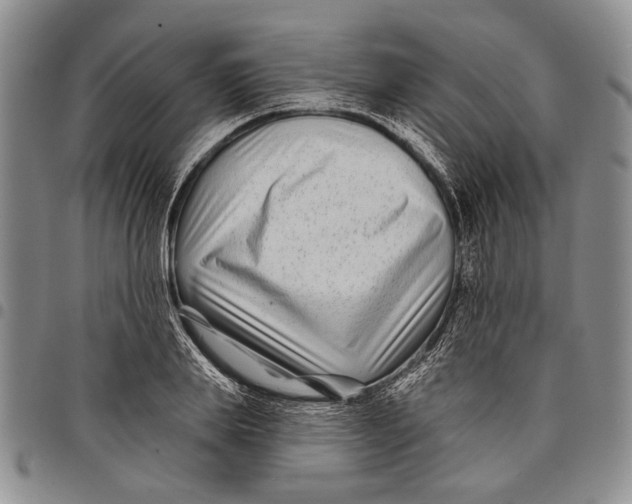 X0000097970839200804141050