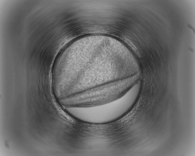 X0000097970840200804141050