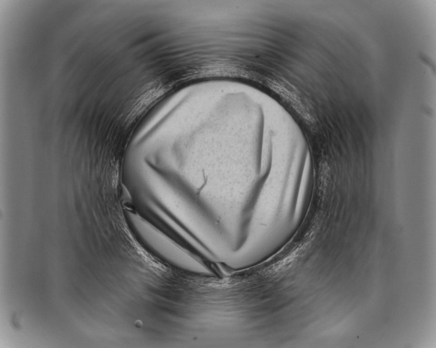 X0000097970841200804141050