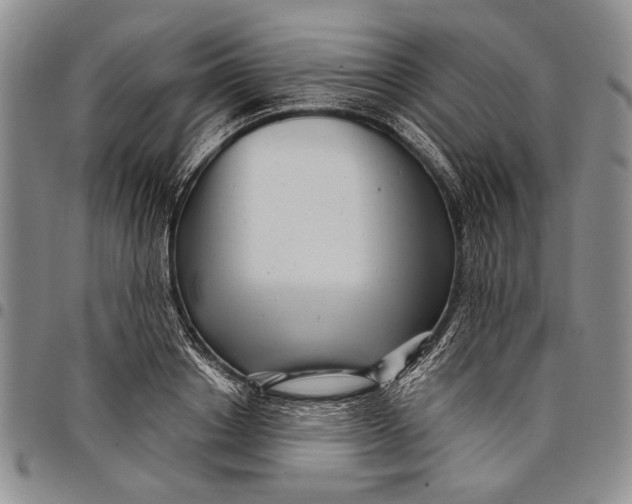 X0000097970842200804141050