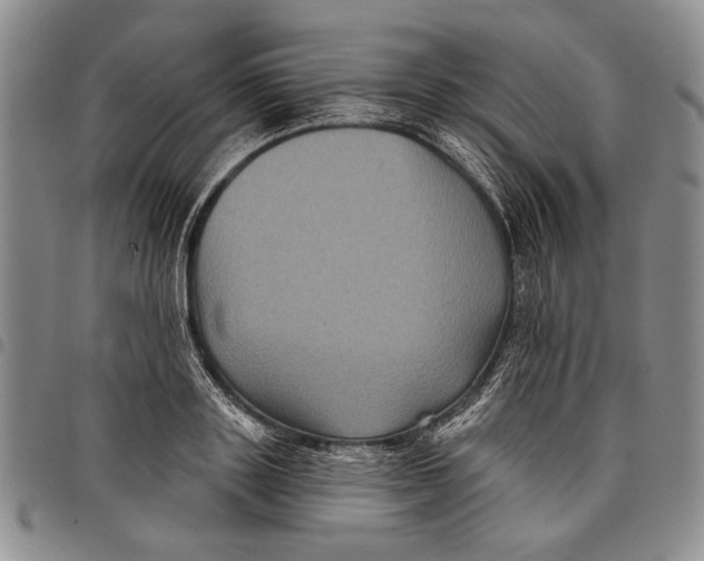 X0000097970843200804141050