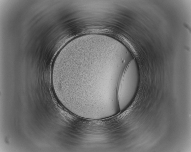 X0000097970844200804141050