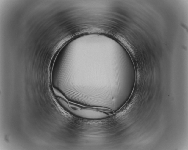 X0000097970845200804141050