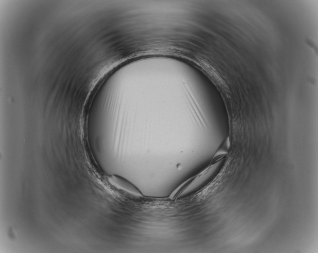 X0000097970846200804141050