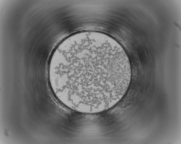 X0000097970848200804141050