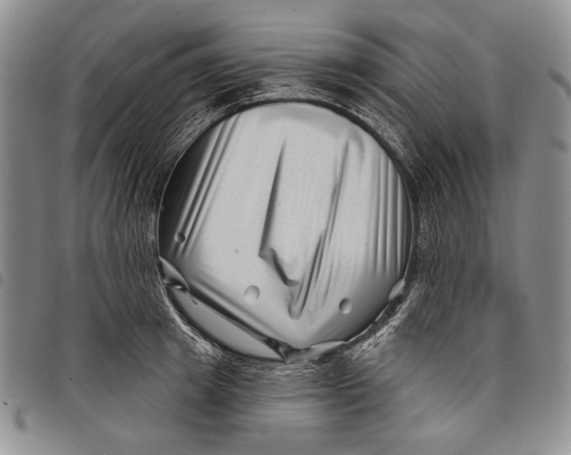 X0000097970849200804141050