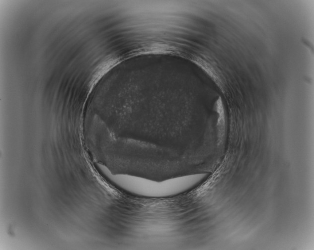 X0000097970850200804141050