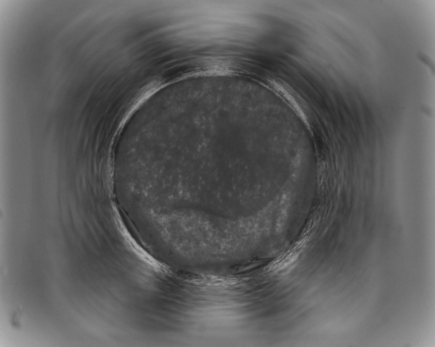 X0000097970851200804141050