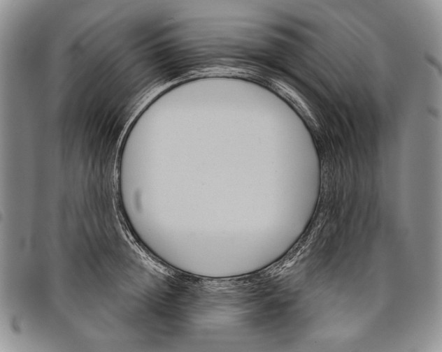 X0000097970852200804141050