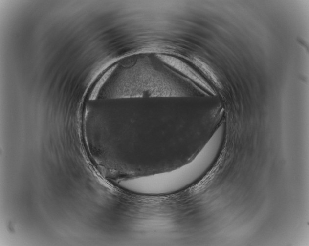 X0000097970854200804141050