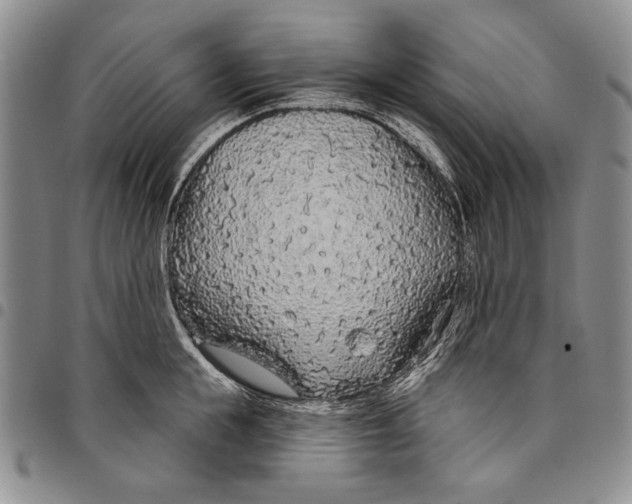X0000097970855200804141050