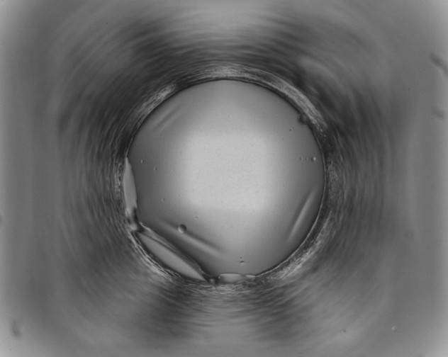 X0000097970857200804141050
