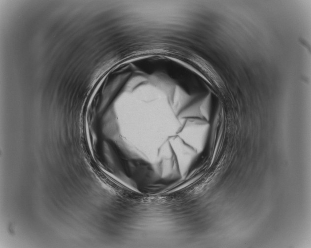 X0000097970858200804141050