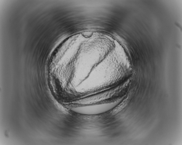 X0000097970859200804141050